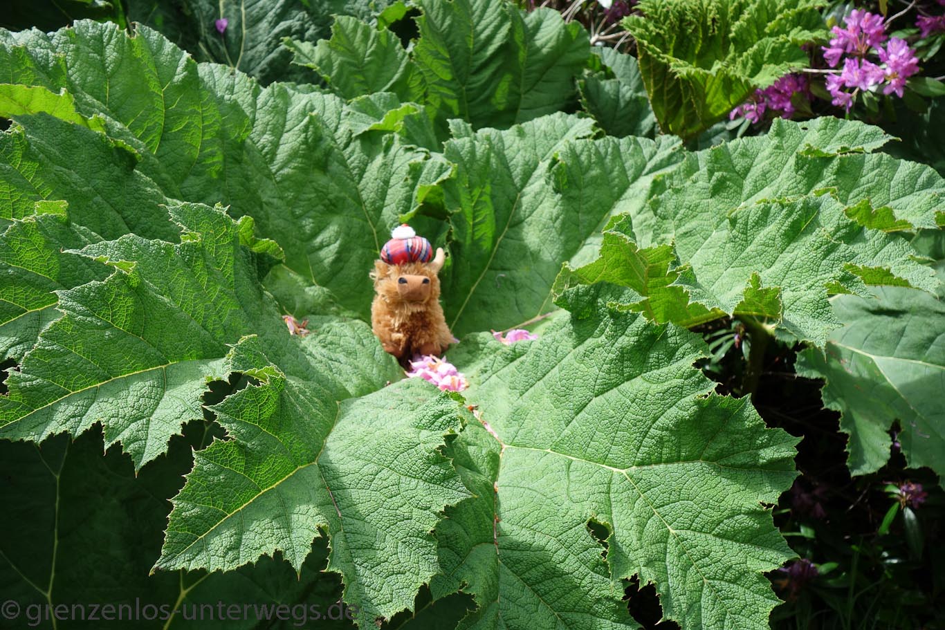 20190604 DSC02067