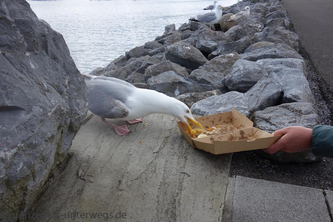 20190607 DSC02292