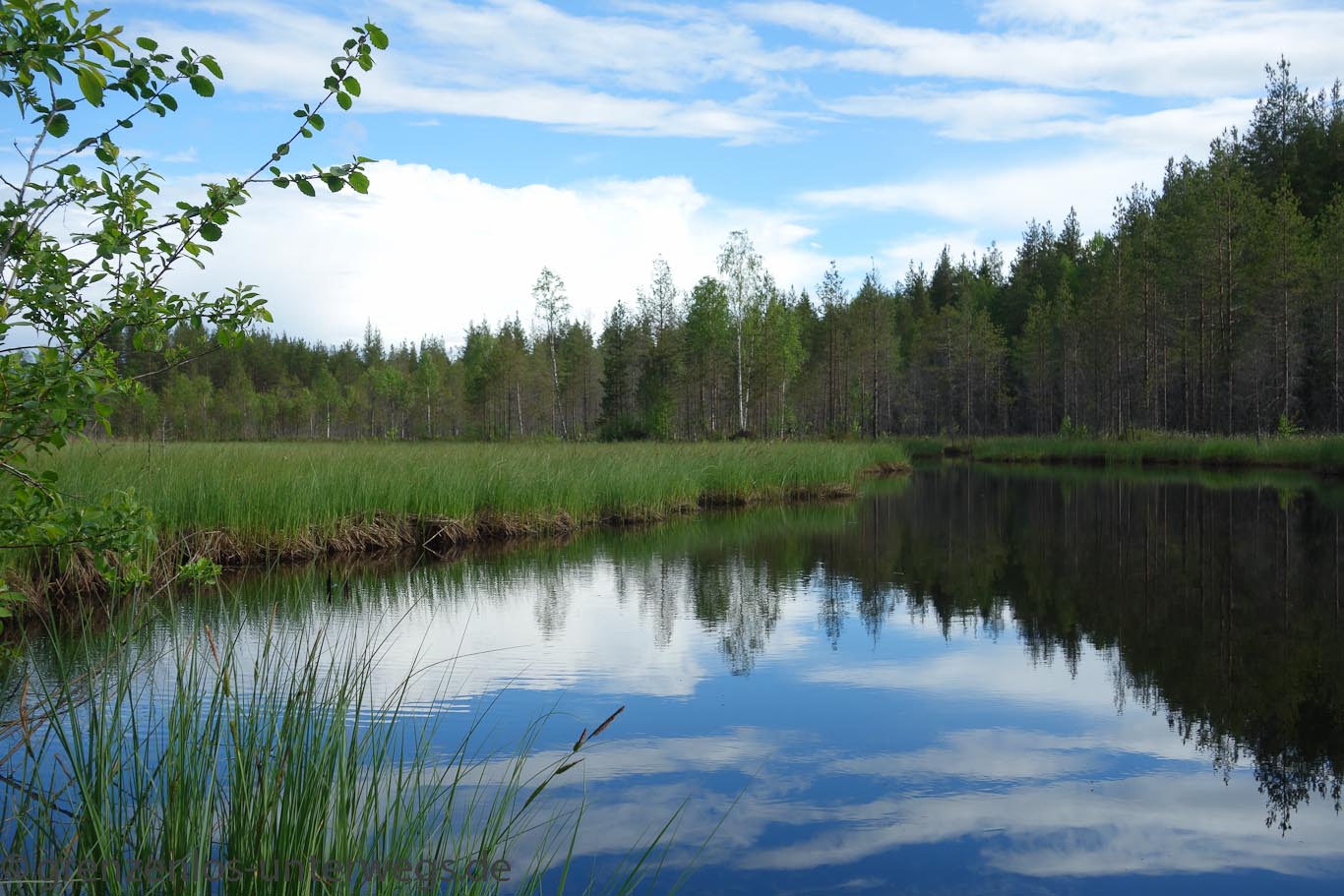 RusslandRB 0083