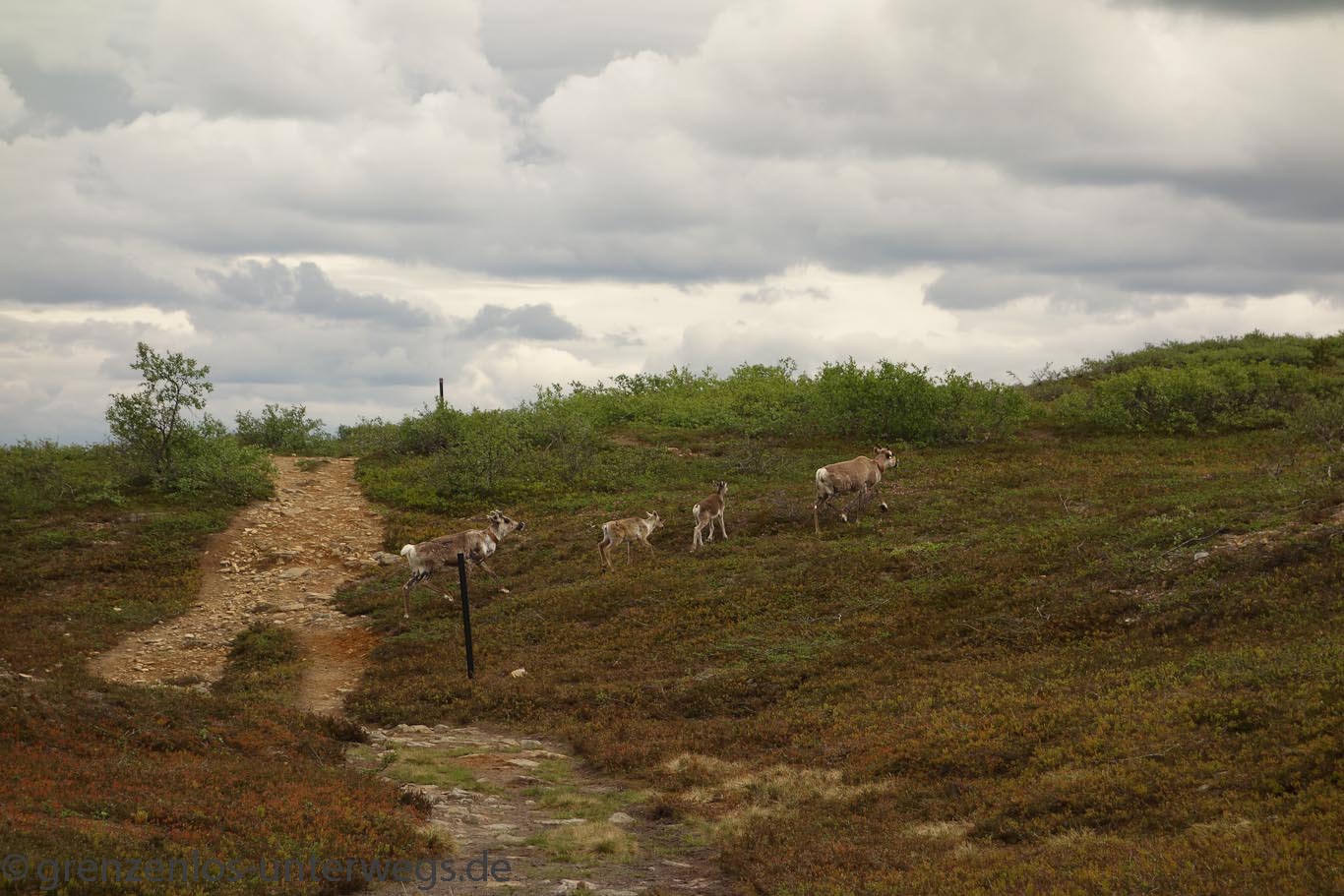 RusslandRB 0200