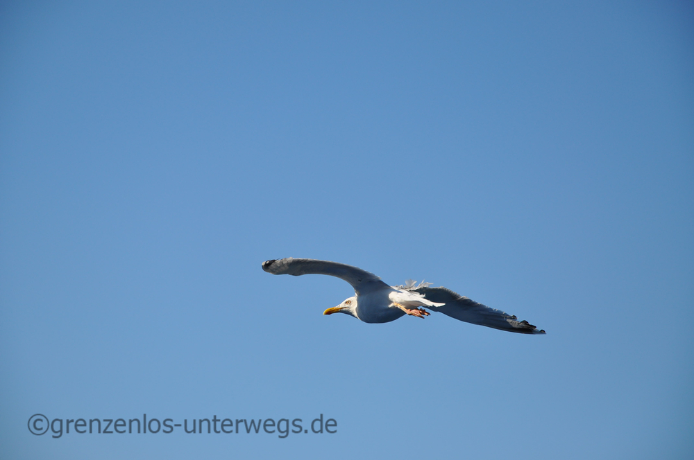 20220813175917 DSC 5821