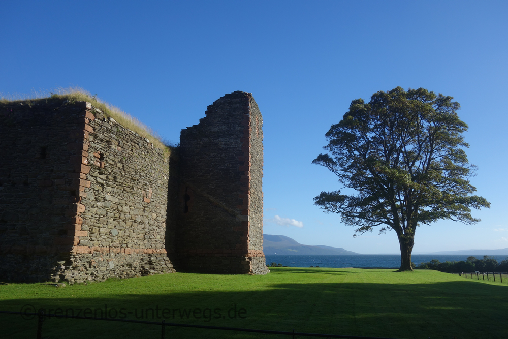 20220819192257 DSC00342